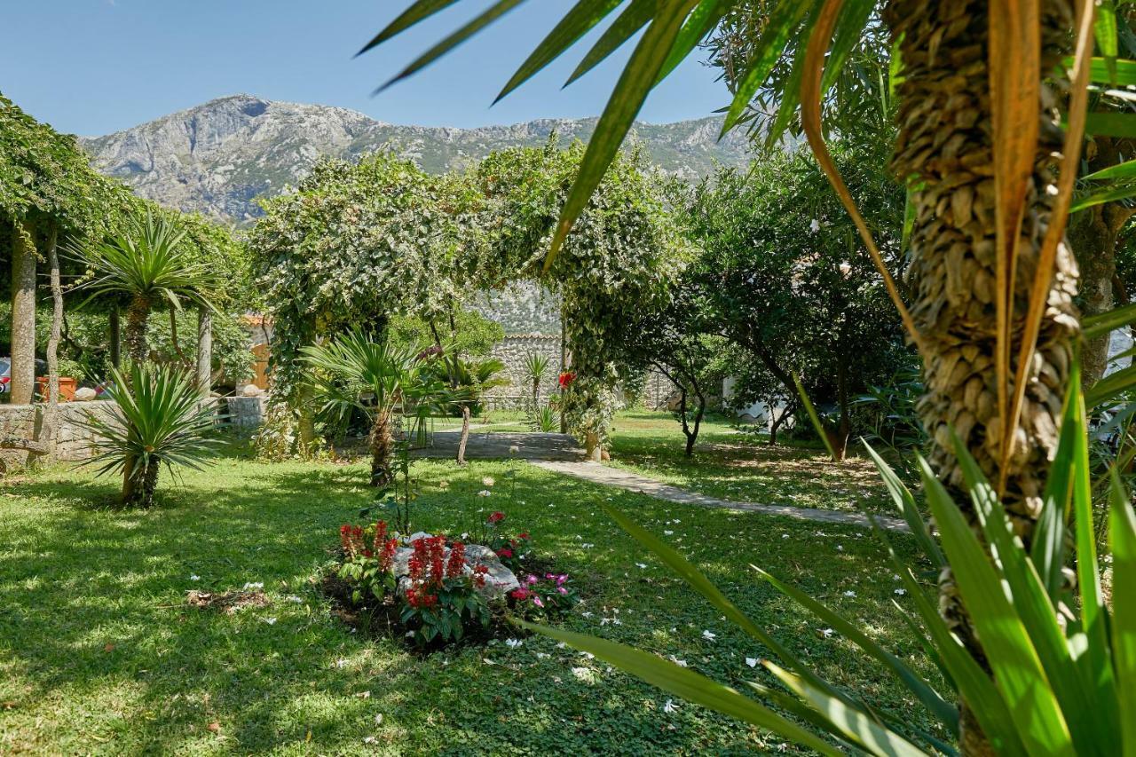 Mediterranean Holiday House & Apartments Kotor Exterior photo